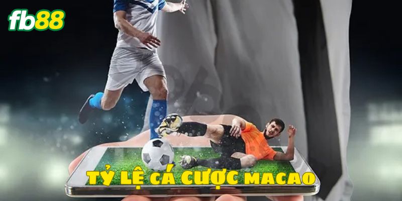 Đa dạng kèo cược được cung cấp