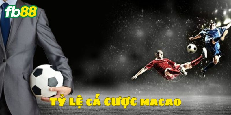 Giới thiệu đôi nét tỷ lệ cá cược hấp dẫn