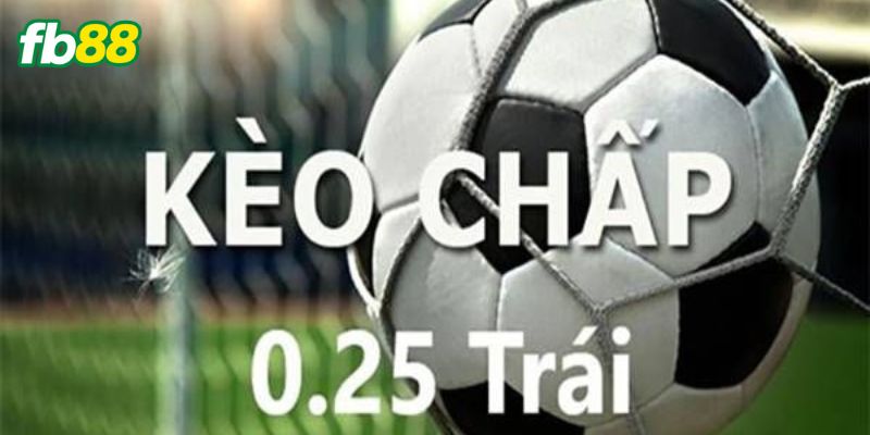 Khảo sát mọi thông tin liên quan