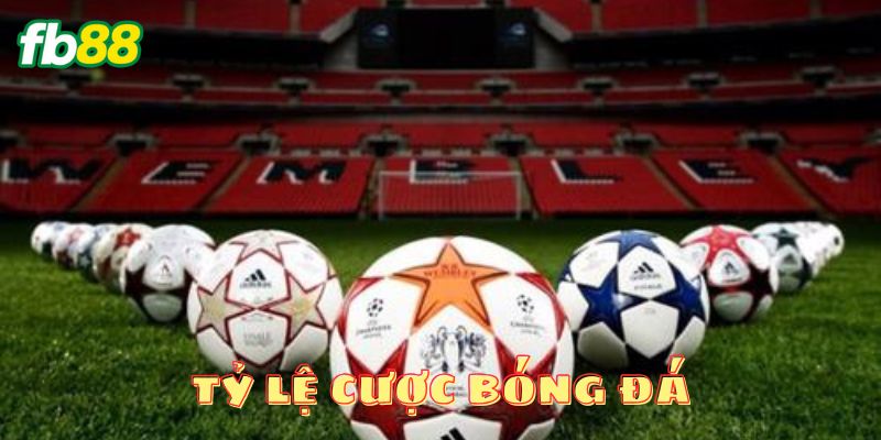 Kinh nghiệm vàng khi chơi cược bóng đá