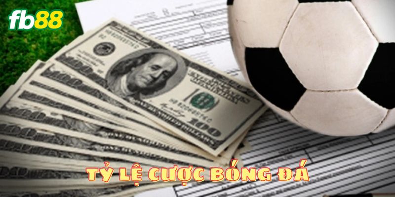 Mách bạn chi tiết cách đọc kèo chuẩn xác