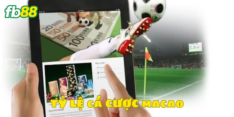 Tìm hiểu tường tận quy định của nhà cái