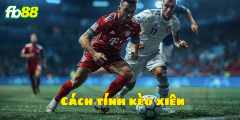 Tổng quan thông tin về kèo xiên